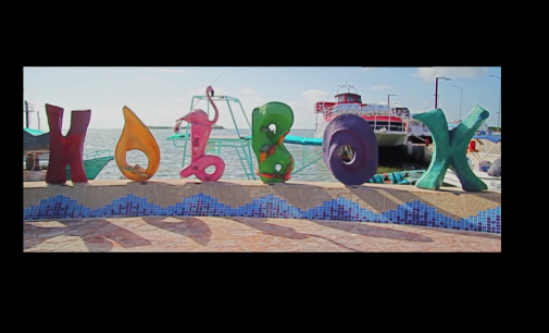 1er festival de bioluminiscencia Holbox
